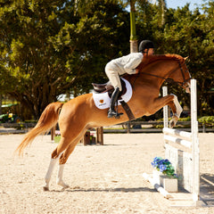 Devon Tall Riding Boot