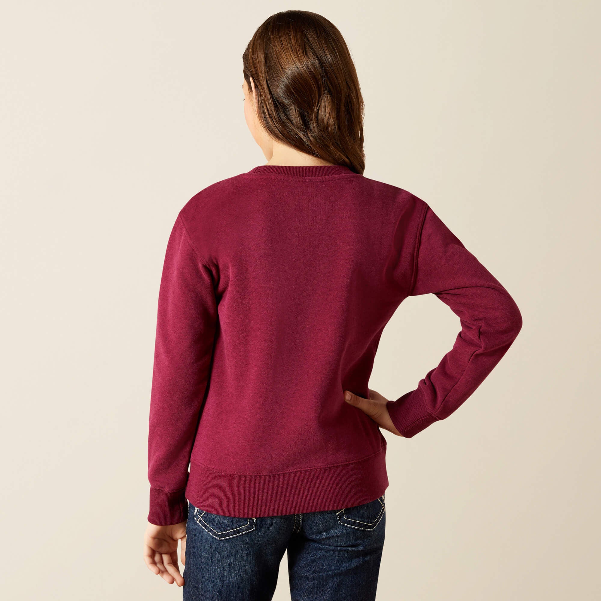 Ariat Emblem Sweatshirt